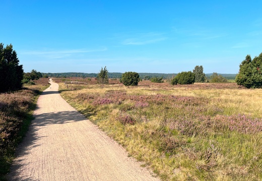 23-09-11 10-39-45 6661